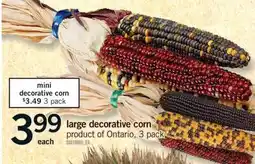 Fortinos LARGE DECORATIVE CORN, 3 pack offer