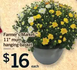 Fortinos FARMER'S MARKET 11 MUM HANGING BASKET offer