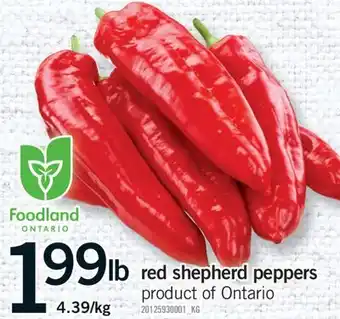 Fortinos RED SHEPHERD PEPPERS offer