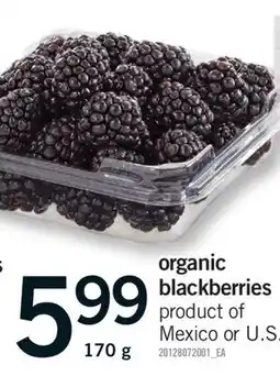 Fortinos ORGANIC BLACKBERRIES, 170 g offer