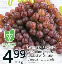 Fortinos FARMER'S MARKET CANADICE GRAPES, 907 G offer