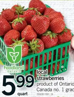 Fortinos LOCAL STRAWBERRIES offer