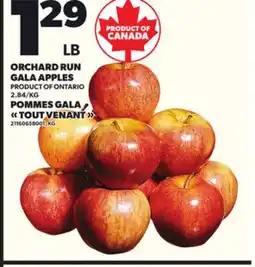 Independent Grocer ORCHARD RUN GALA APPLES offer