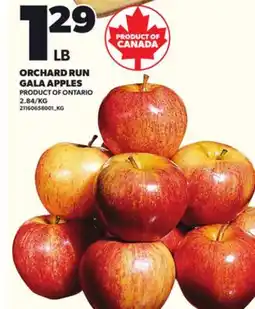 Loblaws ORCHARD RUN GALA APPLES offer