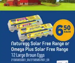 Loblaws NATUREGG SOLAR FREE RANGE OR OMEGA PLUS SOLAR FREE RANGE 12 LARGE BROWN EGGS offer