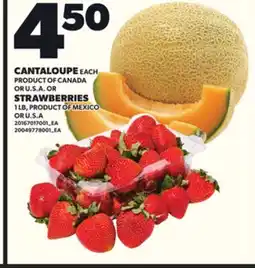 Loblaws CANTALOUPE OR STRAWBERRIES, 1 LB offer