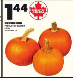 Loblaws PIE PUMPKIN offer