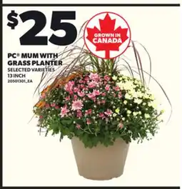 Loblaws PC MUM WITH GRASS PLANTER, 13 INCH offer