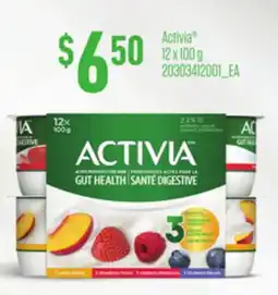 Loblaws ACTIVIA , 12 x 100 g offer