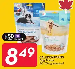 Sobeys CALEDON FARMS Dog Treats offer