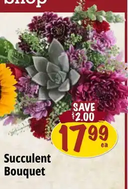 Farm Boy Succulent Bouquet offer