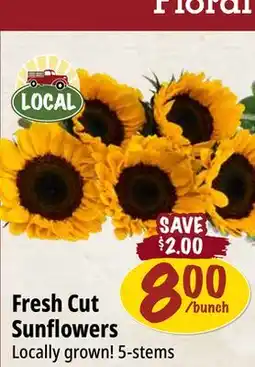Farm Boy Fresh Cut Sunflowers offer