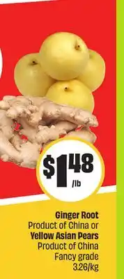 FreshCo Ginger Root Product of China or Yellow Asian Pears Product of China Fancy grade Mid-Autumn offer