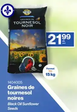 Patrick Morin Black Oil Sunflower Seeds offer