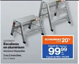 Patrick Morin Aluminum Stepladder offer