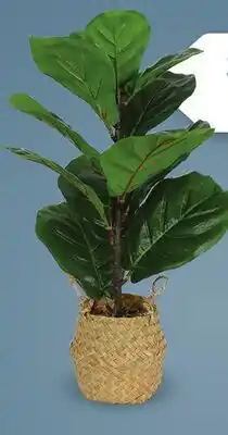 Canac Artificial Ficus Plant with Rattan Pot offer