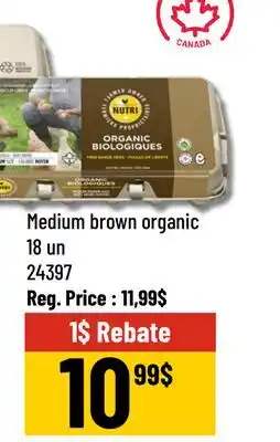 Mayrand Medium brown organic offer