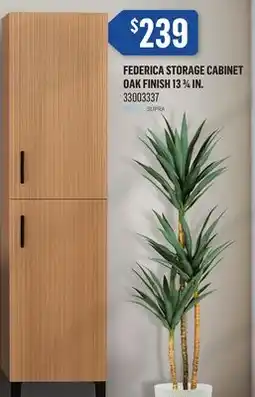 Canac Federica Storage Cabinet Oak Finish 133/4in offer