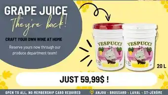 Mayrand Vespucci offer