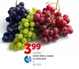 Avril raisins bleus, rouges ou verts bios offer