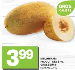 L'Intermarché MELON HAMI | HAMI MELONS, GROSSEUR 6 offer