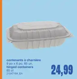 Wholesale Club CONTENANTS À CHARNIÈRE, 9 po x 6 po, 85 un offer