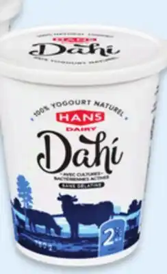 Walmart Contenant de yogourt Dahi Hans offer