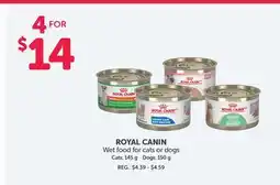 Mondou ROYAL CANIN Wet food for cats or dogs offer