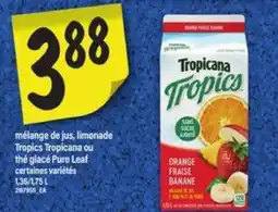 Maxi Tropicana Tropics offer