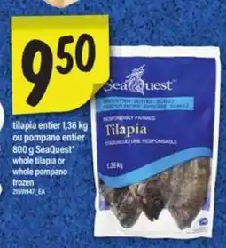 Maxi SeaQuest Tilapia offer