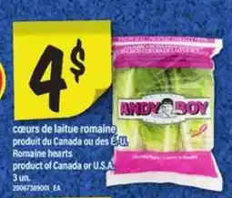 Maxi ANDY BOY offer