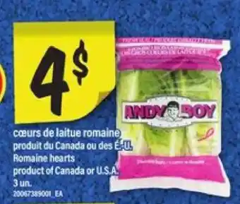 Maxi ANDY BOY offer