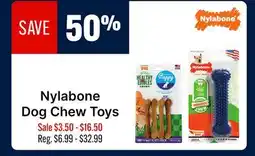 Ren’s Pets Depot Nylabone Dog Chew Toys offer