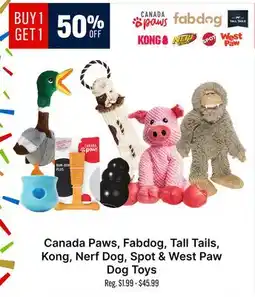 Ren’s Pets Depot Canada Paws, Fabdog, Tall Tails, Kong, Nerf Dog, Spot & West Paw Dog Toys offer