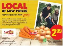 No Frills Farmer's Market Carrots & Yellow Onions offer