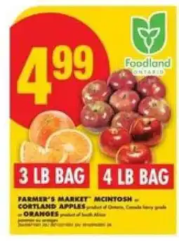 No Frills Farmer's Market McIntosh or Cortland Apples or Oranges offer