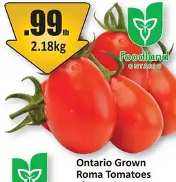 Starsky Ontario Grown Roma Tomatoes offer