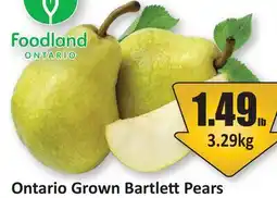 Starsky Ontario Grown Bartlett Pears offer
