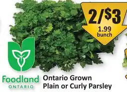 Starsky Ontario Grown Plain or Curly Parsley offer