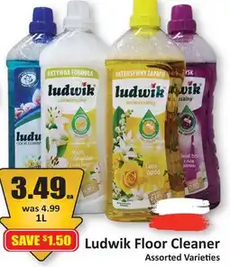 Starsky Ludwik Floor Cleaner offer