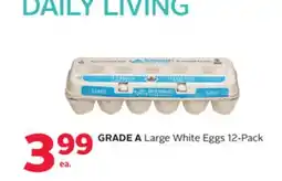 Rexall GRADE A Large White Eggs offer