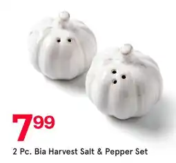 Kitchen Stuff Plus 2 Pc. Bia Harvest Salt & Pepper Set offer