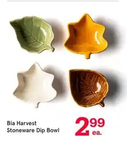 Kitchen Stuff Plus Bia Harvest Stoneware Dip Bowl offer
