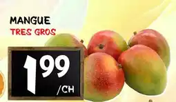 Marche Salaberry MANGUE offer