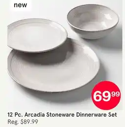 Kitchen Stuff Plus 12 Pc. Arcadia Stoneware Dinnerware Set offer