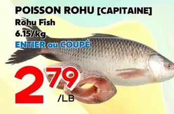 Marche Salaberry POISSON ROHU (CAPITAINE) offer