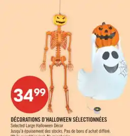 Pharmaprix Selected Large Halloween Décor offer