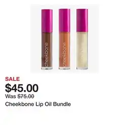 TSC Stores Cheekbone Lip Oil Bundle offer