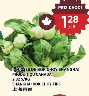 Kim Phat SHANGHAI BOK CHOY TIPS offer