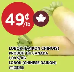 Kim Phat LOBOK (CHINESE DAIKON) offer